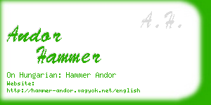 andor hammer business card